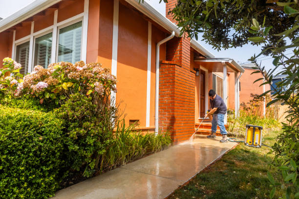 Best Exterior Home Cleaning  in Ceredo, WV